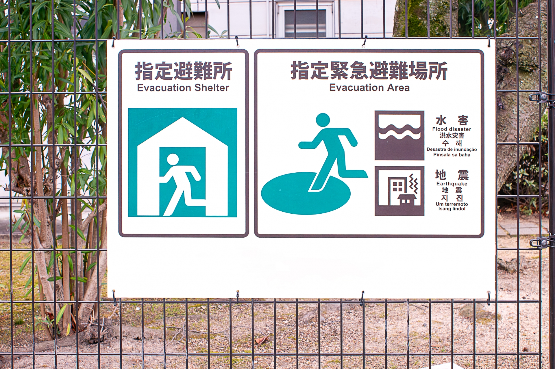 指定緊急避難場所　指定避難所