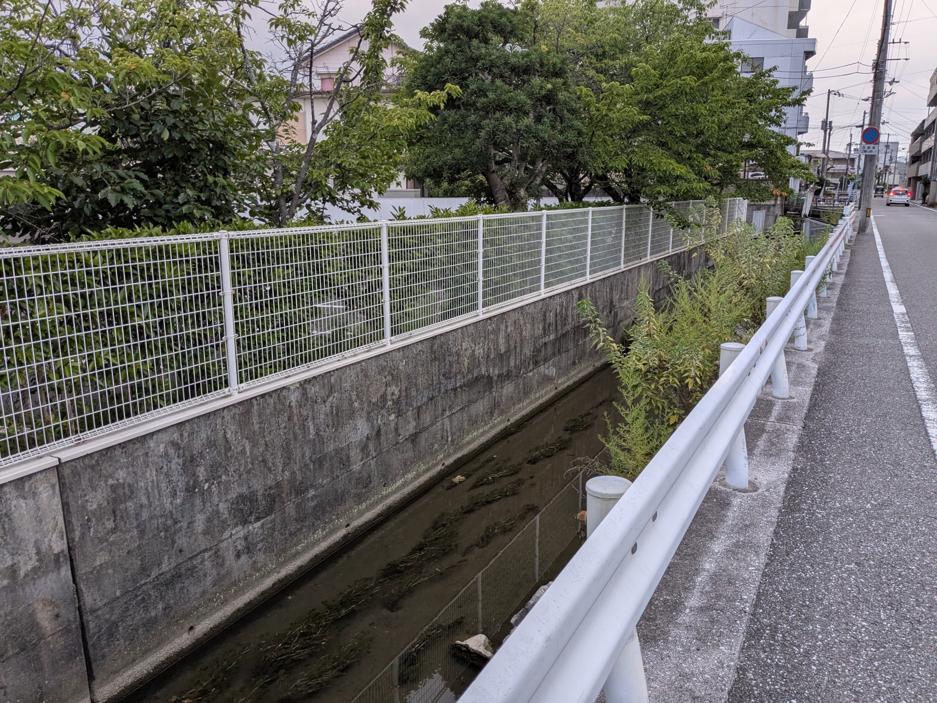 側溝のある道路
